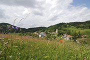 Pr' Jureč utrinek