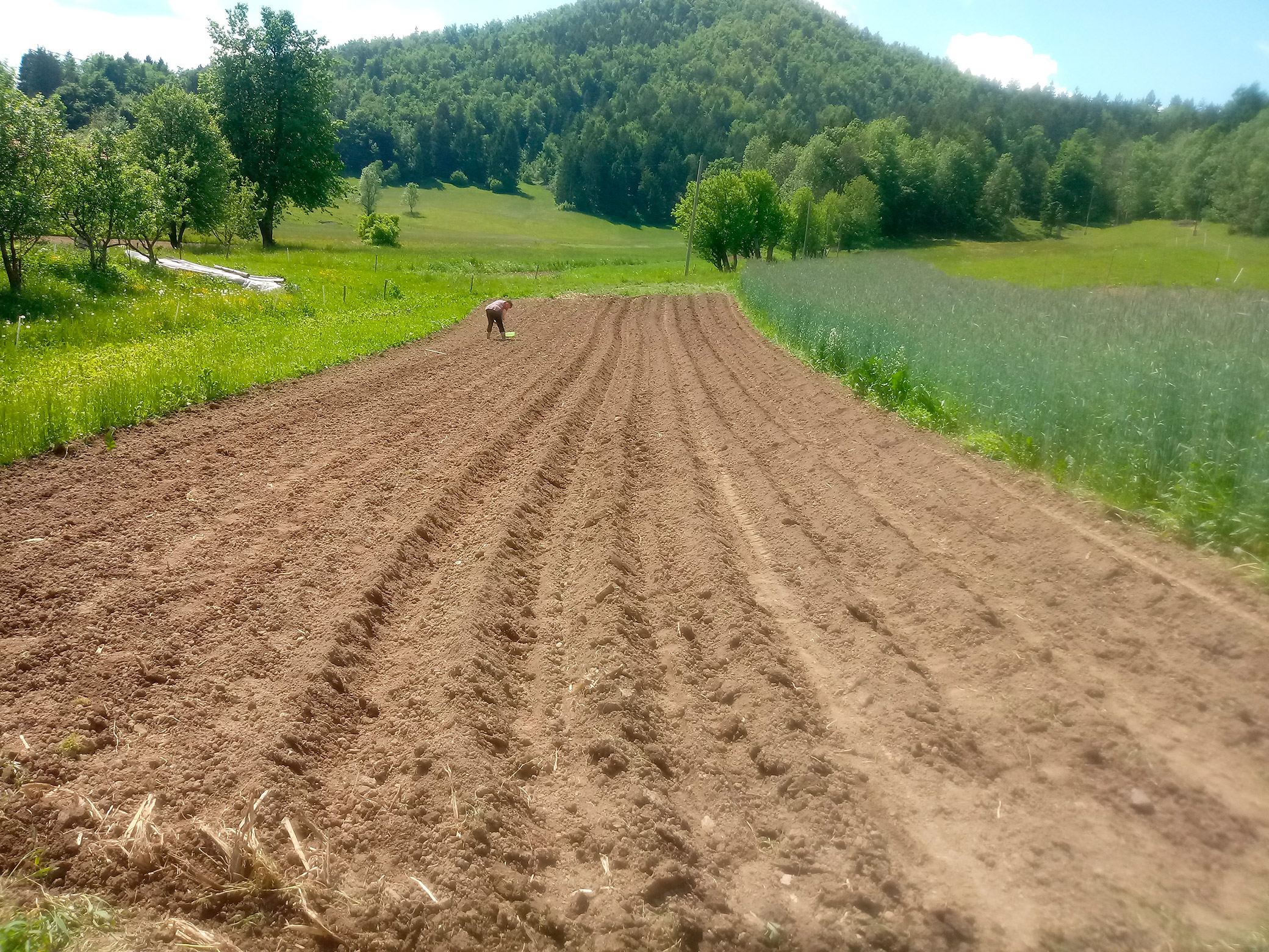 gallery/letina_2019/20190603_144901_Burst02.jpg