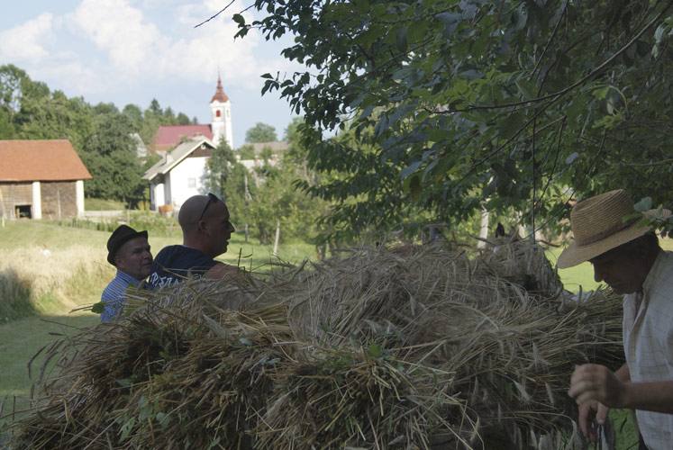 gallery/zetev_2012/23.jpg